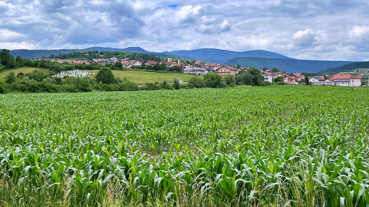 Uloga vlakana u zdravoj prehrani